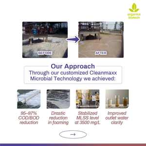 Biological Nitrogen <b>Removal</b> From Wastewater - Product Image 5