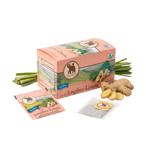 Tè allo Zenzero e Citronella Haathee 25 Bustine di Tè 35 g - Product Image 1
