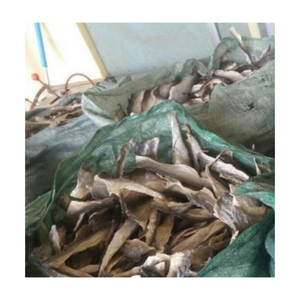 Offre Spéciale 2025 | LA PEAU DE POISSON BASA SÉCHÉE EST EXPORTÉE DU FOURNISSEUR VIETNAMIEN EN GRANDE QUALITÉ - Product Image 5