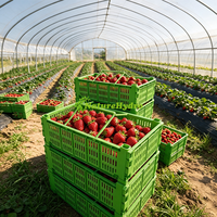 Plastic oogstmand met handvatten, tuinmanden voor het verzamelen van groenten en fruit, opbergorganizer