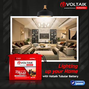 Voltaik 12V 180+Ah C10 Solar Tubular Inverter Battery Heavy-Duty Lead Acid Renewable Energy Hybrid Battery Better Durability - Product Image 4