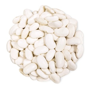 ถั่วไตสีขาวขนาดใหญ่แบบแห้งสีขาวสำหรับการส่งออกทั่วโลก - Product Image 6