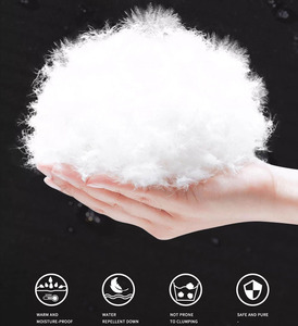 Chaqueta con Capucha Personalizable, Abrigada, Cortavientos, Brillante, Gruesa, de Plumón, para Hombre, Talla Grande, Ligera, de Nailon, Envío DDP - Product Image 4