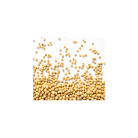 Soja jaune frais non-OGM de qualité export / Grains de soja de qualité supérieure des Pays-Bas pour les importateurs de soja