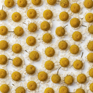 ดอกกุหลาบแห้งอียิปต์พรีเมียม (ธรรมชาติ 100%) สำหรับชาสมุนไพร - Product Image 1