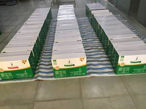 Anacardos crudos de origen vietnamita de alta calidad grado seco y envasado al vacío a precio barato Contacto WS + 84 966 55 6622 - Product Image 5