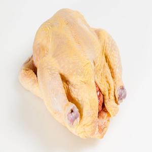Pollo Entero Congelado Halal de Alta Calidad y Piezas de Pollo en Empaque a Granel - Product Image 6