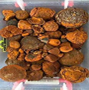 Pierres biliaires de boeuf naturelles de qualité supérieure 100%/calculs biliaires de bétail/calculs biliaires de vache pour des prix très bon marché et raisonnables - Product Image 6