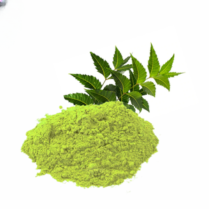 Polvo de Hoja de Neem Cruda para la Salud Digestiva Ayurvédica y Tónico Amargo, Suplemento Herbal Puro para el Equilibrio Intestinal y el Bienestar - Product Image 2