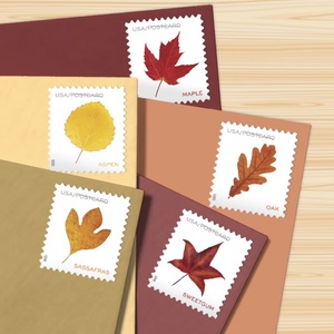 Vintage Floral Usa usado franqueo correo <span class=keywords><strong>sello</strong></span> pegatinas Postal para siempre sellos postales recompensa pegatina regalo recuerdo coleccionar - Product Image 1