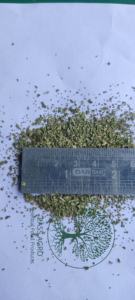 Haute sur demande à base de plantes GYMNEMA SYLVESTRE (GURMAR)TCUT/TBC pour les applications fonctionnelles d'aliments et de boissons. - Product Image 2