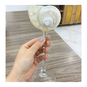 Tasse d'escargot Coupe de coquillages Convient aux collections de coquillages Tasse d'escargot pour l'artisanat côtier et les décorations artistiques - Product Image 4