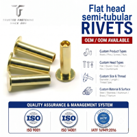 TianFang Rivets Semi-Tubulaires à Tête Plate OEM pour Machine Industrielle, Certifié IATF 16949