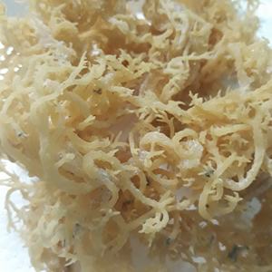 Natural <b>Dried</b> Seamoss From Ocean - Product Image 5