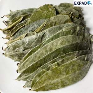 Hojas de Guanábana a precio barato de VIETNAM - Product Image 4