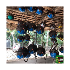 Elegant Eco Coconut Shell <b>Handbag</b> for Women Handmade Natural Design Lightweight and Stylish for Sustainable Daily Use - Product Image 2