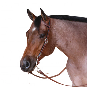 Producto de questrian ORSE idding lassic, ooled - Product Image 1