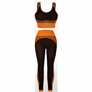 Wholesale High Quality Women's Gym Workout <b>Bra</b> and High Waist Leggings Set with Front Logo Seamless Fitness 2-Piece Set - Product Image 1