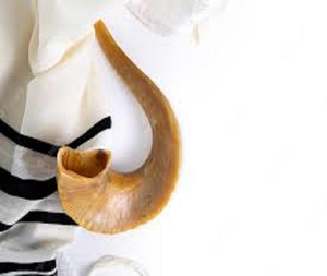 Shofar de qualité supérieure, corne de bélier naturelle polie, pour des usages religieux et la décoration de la maison - Product Image 5