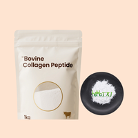 Poudre de collagène bovin pur en vrac poudre de peptide de collagène bovin poudre de collagène bovin hydrolysé