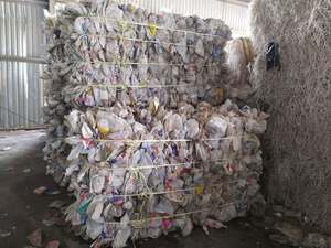 เศษเกล็ดขวดนม HDPE - Product Image 4