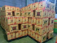 Diepvries Premium Durian uit Vietnam, klaar voor verzending, Monthong/Ri6, heel, vers, natuurlijk zoet, geel vruchtvlees, OEM