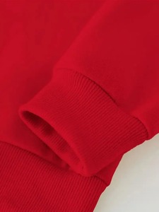 Sweat-shirts à capuche en coton 100% anti-rétrécissement, tricotés, pour hommes et femmes, hiver, col à capuche, motif uni, taille XL, broderie, design ODM - Product Image 4