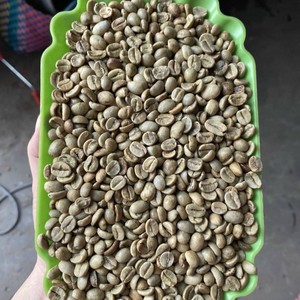 MEILLEURE GRADE AROMATIQUE SCR16 SCR18 VIETNAMIEN ROBUSTA GRAINS DE CAFÉ VERT NON LAVAGE NETTOYÉ HUMIDE POLI, AGRICOLE EN GROS EXPORTATION - Product Image 1