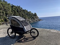 Remorque de vélo tout-terrain en alliage d'aluminium KS-200 avec suspension indépendante et siège inclinable, capacité de charge de 35 kg