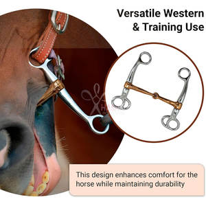 Bocado de Montura Western para Caballo, 5 Pulgadas, Cromado, de Acero Inoxidable Resistente al Óxido, Reutilizable, para Entrenamiento - HASHIR INTERNATIONAL - Product Image 5