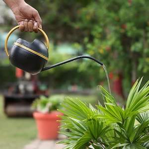 Regadera Moderna de Metal Negro y Dorado, Regadera Decorativa para Plantas de Interior y Exterior - Product Image 5