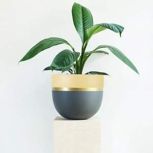 Grand support moderne pour plantes en métal doré et noir avec une hauteur de 10 pouces et un diamètre de 12 pouces pour une utilisation en intérieur - Product Image 1