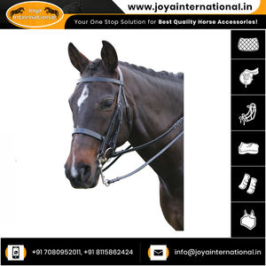 Brida plana Oxford Weymouth de estilo tradicional con espectáculo Cavesson para anillo de espectáculo de caballos - Product Image 4