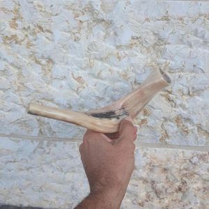 Shofar Kudu Ram Horn Shofar pulido por Noshahi Horn Enliven Overseas en India - Product Image 6