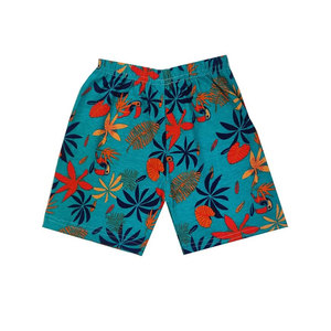 Shorts en coton imprimés pour enfants, pour garçons et filles, coupe régulière, shorts décontractés (lot de 10), shorts pour enfants en gros - Product Image 5