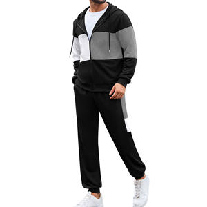 Conjunto Deportivo de 2 Piezas al por Mayor, 100% Algodón, Sudadera con Capucha y Pantalones Deportivos para Hombre, Diseño Personalizado con Logotipo, Conjuntos Deportivos Unisex - Product Image 1