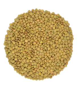 Venta al por mayor de lentejas verdes canadienses orgánicas a granel para la industria alimentaria Cocinar Exportación internacional Stock listo Comprar precio barato - Product Image 4