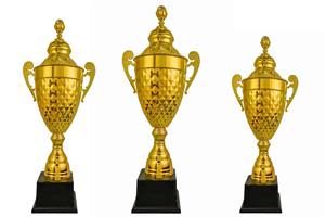 Elegante Trofeo de Metal para Ceremonia de Cena y Evento Formal - Product Image 6