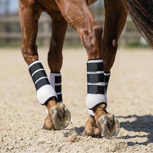 Bottes de tendon en maille pour chevaux, légères, personnalisables, de haute qualité, respirantes, protectrices, pour l'équitation, l'entraînement et le quotidien - Product Image 2