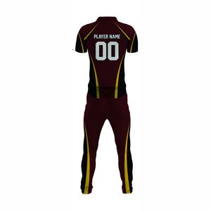 Uniforme de sport personnalisable pour homme, ensemble de robe de cricket respirante à manches longues, cricket pakistanais et américain, 2026 Angleterre - Product Image 3