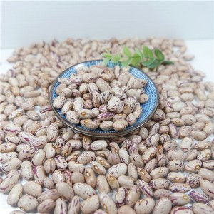 Frijoles Blancos Orgánicos de Primera Calidad en Paquete a Granel - Product Image 6