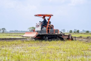 Tractor de orugas turbo HOGICO HG-80VN de 80HP, diésel, con orugas de goma, maquinaria agrícola para campos de arroz - Product Image 6