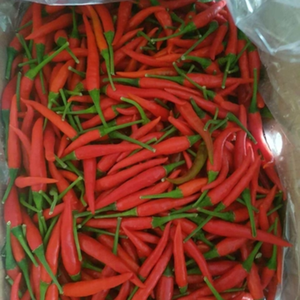 VENTA AL POR MAYOR DE CHILES CONGELADOS PROCESADOS PURA DE FÁBRICA DE VIETNAM - Product Image 4