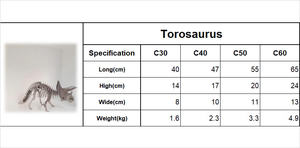 Terex 3D Laser Torosaurus Modèle en acier inoxydable 304 Jouet éducatif décoratif pour la maison pour adultes Fait à la main au Viet Nam C40CM - Product Image 6