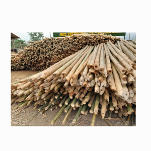 Bambú tratado para jardín al aire libre de Vietnam/Postes de bambú Palos de bambú para decoración de 99 Gold Data Vietnam - Product Image 1