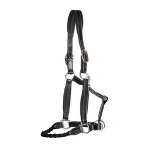 Cabestro Acolchado Anatómico de Primera Calidad para Caballo, Elegante Equipo de Cuero Inglés, Costuras Decorativas, Ecológico - Product Image 5