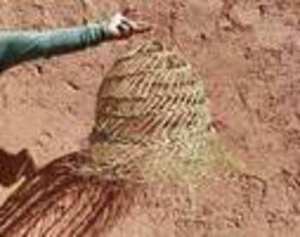 Pantalla de Lámpara de Latón y Ratán Doum, Iluminación Decorativa Hecha a Mano en Marruecos, Proveedor Mayorista en EE. UU., ETSY, EBAY, SHOPIFY, STOCK, Dropship - Product Image 4