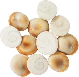 หินกอมาติดิบ หินดิบสำหรับการทำเรกิบำบัด คริสตัลดิบไม่ขัดเงา คริสตัลหินดิบธรรมชาติ ขายส่ง - Product Image 6