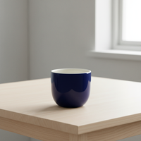3460426A-0.2 Nouvelle conception nordique, tasse à thé en porcelaine résistante à la chaleur, durable, pour la dégustation de thé, usage domestique ou au bureau