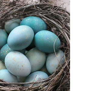 ภาพวาดสีไข่อีสเตอร์ตกแต่งงานปาร์ตี้ทำจากไม้ธรรมชาติใช้ในบ้านสไตล์ยุโรปคลาสสิก - Product Image 3